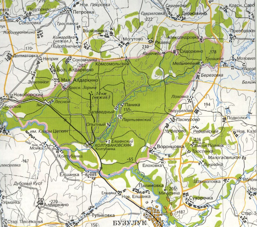 Бузулук где находится на карте. Карта Бузулукского Бора. Бузулукский Бор национальный парк на карте. Карта Бузулукский Бор Оренбург. Топографическая карта Бузулукского Бора.