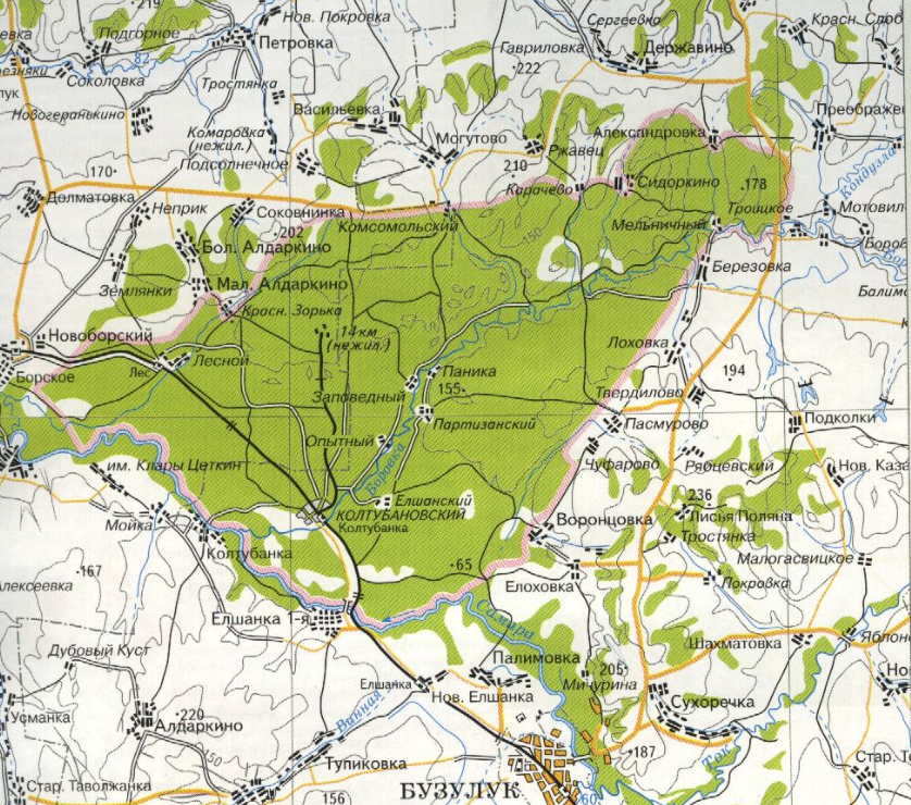 Бузулук оренбургская область на карте. Карта Бузулукского Бора. Бузулукский Бор национальный парк на карте. Карта Бузулукский Бор Оренбург. Топографическая карта Бузулукского Бора.