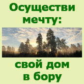 Бузулукский бор недорого