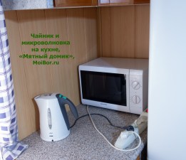 Электрочайник и микроволновая печь «Мятный домик» в Бузулукском бору