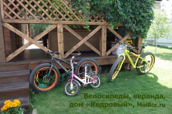 Велосипеды на прокат в доме «Кедровый», Бузулукский бор