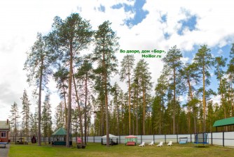 Беседки, лежаки, батут во дворе дома Бор в Бузулукском бору