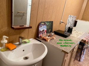Умывальник на кухне, дом Лютик в Бузулукском бору