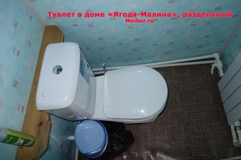 81-tualet-yagoda-malina